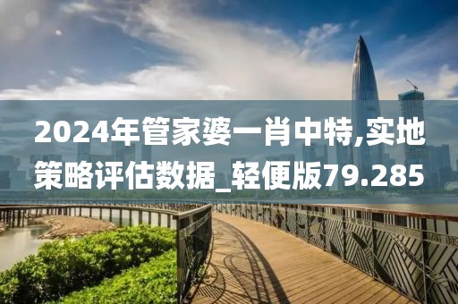 2024年管家婆一肖中特,实地策略评估数据_轻便版79.285