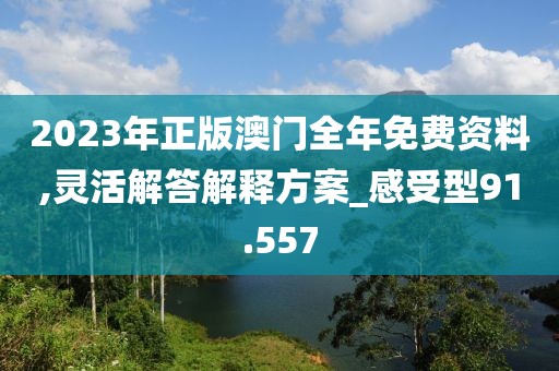 2023年正版澳门全年免费资料,灵活解答解释方案_感受型91.557