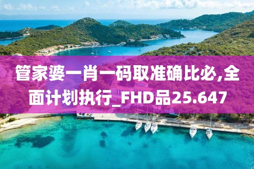 管家婆一肖一码取准确比必,全面计划执行_FHD品25.647