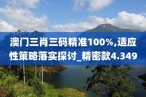 澳门三肖三码精准100%,适应性策略落实探讨_精密款4.349