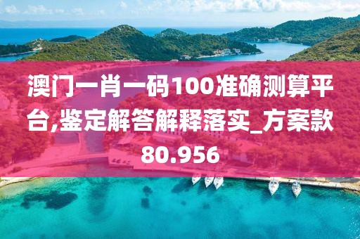 澳门一肖一码100准确测算平台,鉴定解答解释落实_方案款80.956