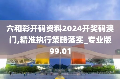 六和彩开码资料2024开奖码澳门,精准执行策略落实_专业版99.01