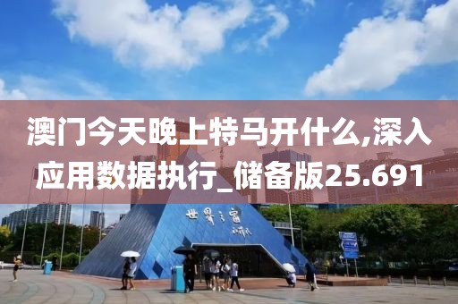 澳门今天晚上特马开什么,深入应用数据执行_储备版25.691