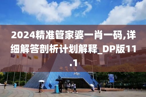 2024精准管家婆一肖一码,详细解答剖析计划解释_DP版11.1