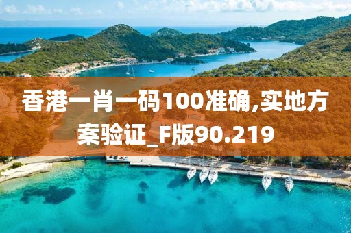 香港一肖一码100准确,实地方案验证_F版90.219