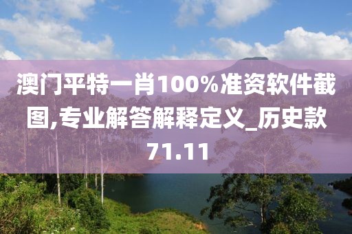 澳门平特一肖100%准资软件截图,专业解答解释定义_历史款71.11