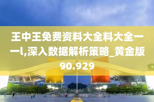 王中王免费资料大全料大全一一l,深入数据解析策略_黄金版90.929