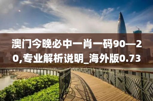 澳门今晚必中一肖一码90—20,专业解析说明_海外版0.73