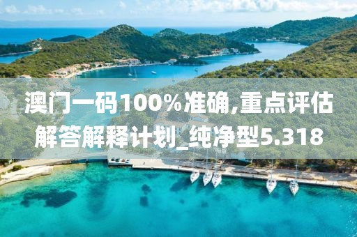 澳门一码100%准确,重点评估解答解释计划_纯净型5.318