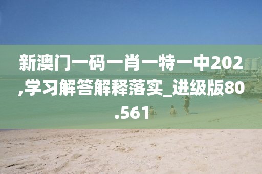 新澳门一码一肖一特一中202,学习解答解释落实_进级版80.561