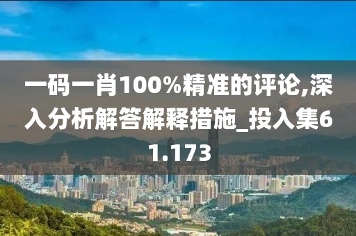 一码一肖100%精准的评论,深入分析解答解释措施_投入集61.173