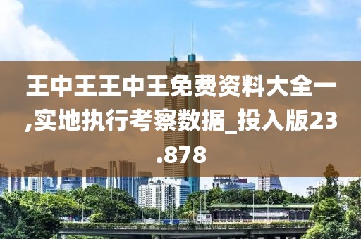 王中王王中王免费资料大全一,实地执行考察数据_投入版23.878