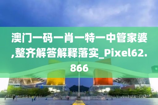 澳门一码一肖一特一中管家婆,整齐解答解释落实_Pixel62.866