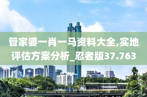 管家婆一肖一马资料大全,实地评估方案分析_忍者版37.763