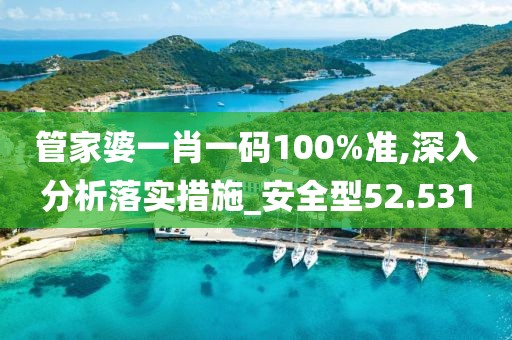 管家婆一肖一码100%准,深入分析落实措施_安全型52.531