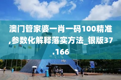 澳门管家婆一肖一码100精准,参数化解释落实方法_银版37.166