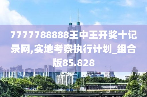 7777788888王中王开奖十记录网,实地考察执行计划_组合版85.828