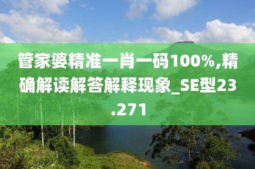 管家婆精准一肖一码100%,精确解读解答解释现象_SE型23.271