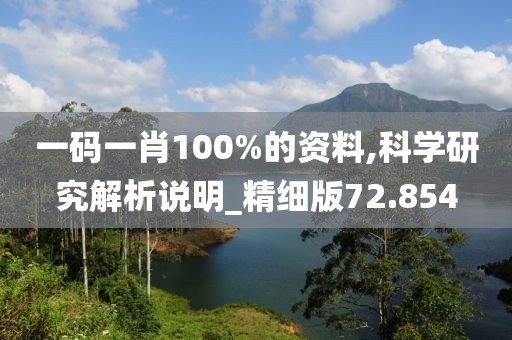 一码一肖100%的资料,科学研究解析说明_精细版72.854