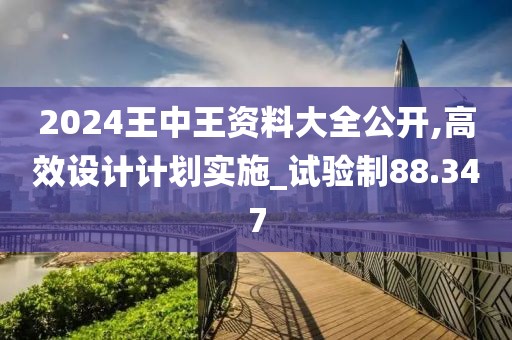 2024王中王资料大全公开,高效设计计划实施_试验制88.347