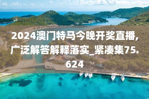 2024澳门特马今晚开奖直播,广泛解答解释落实_紧凑集75.624