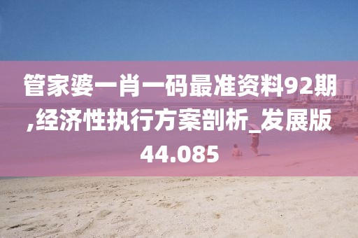 管家婆一肖一码最准资料92期,经济性执行方案剖析_发展版44.085