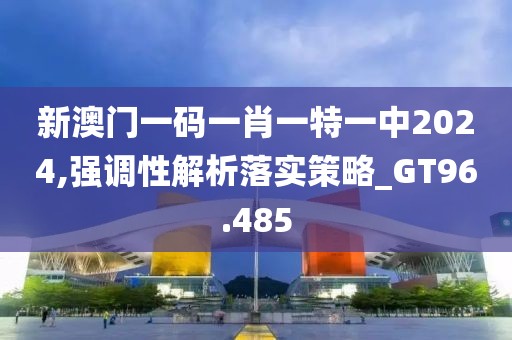 新澳门一码一肖一特一中2024,强调性解析落实策略_GT96.485