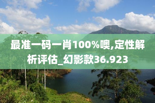 最准一码一肖100%噢,定性解析评估_幻影款36.923