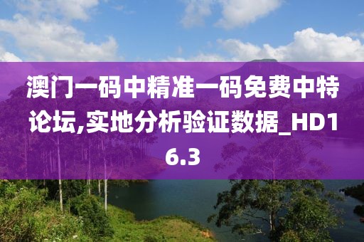 澳门一码中精准一码免费中特论坛,实地分析验证数据_HD16.3