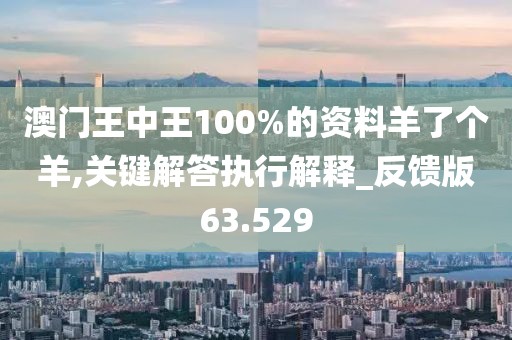 澳门王中王100%的资料羊了个羊,关键解答执行解释_反馈版63.529