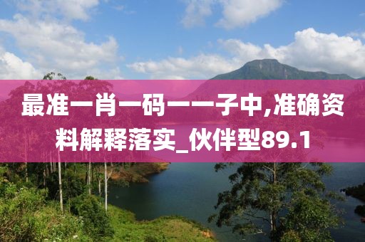 最准一肖一码一一子中,准确资料解释落实_伙伴型89.1