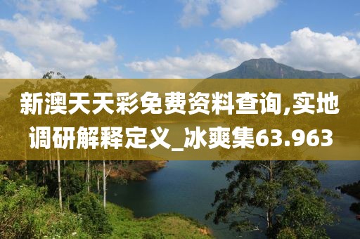 新澳天天彩免费资料查询,实地调研解释定义_冰爽集63.963