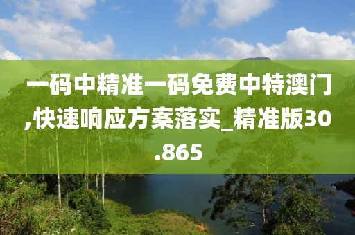 一码中精准一码免费中特澳门,快速响应方案落实_精准版30.865