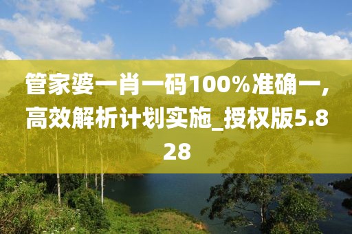 管家婆一肖一码100%准确一,高效解析计划实施_授权版5.828