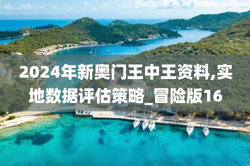 2024年新奥门王中王资料,实地数据评估策略_冒险版16