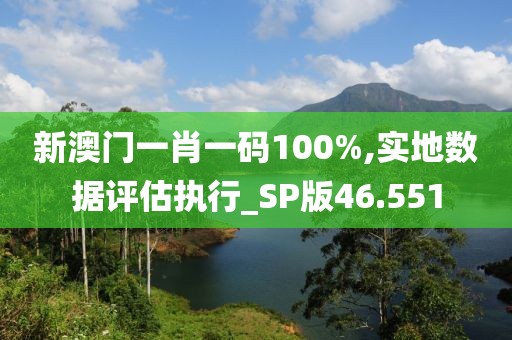 新澳门一肖一码100%,实地数据评估执行_SP版46.551