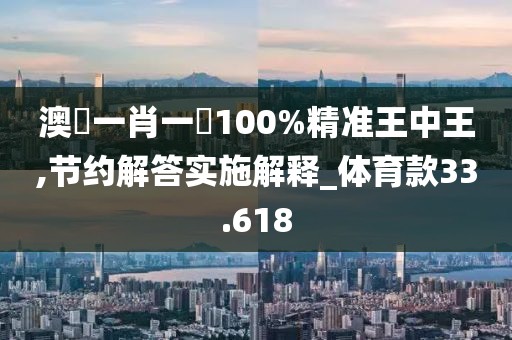 澳門一肖一碼100%精准王中王,节约解答实施解释_体育款33.618