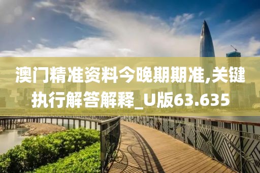 澳门精准资料今晚期期准,关键执行解答解释_U版63.635