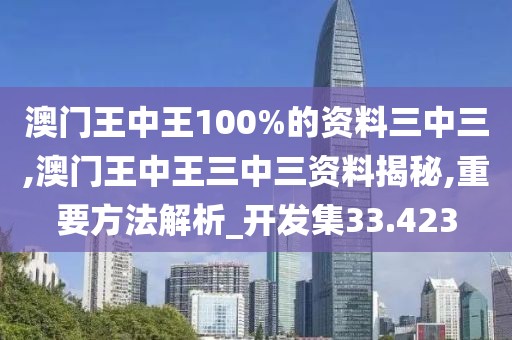 澳门王中王100%的资料三中三,澳门王中王三中三资料揭秘,重要方法解析_开发集33.423