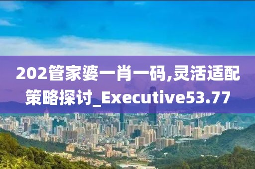 202管家婆一肖一码,灵活适配策略探讨_Executive53.77