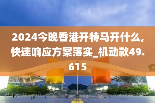 2024今晚香港开特马开什么,快速响应方案落实_机动款49.615