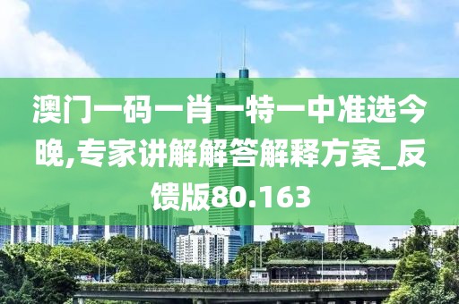 澳门一码一肖一特一中准选今晚,专家讲解解答解释方案_反馈版80.163