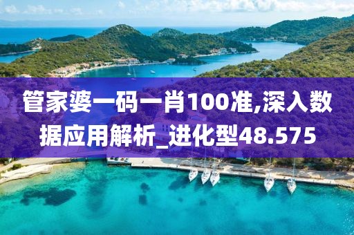 管家婆一码一肖100准,深入数据应用解析_进化型48.575