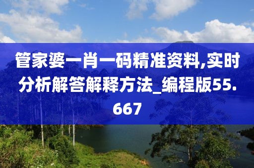 管家婆一肖一码精准资料,实时分析解答解释方法_编程版55.667