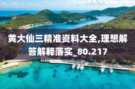 黄大仙三精准资料大全,理想解答解释落实_80.217