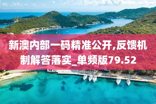 新澳内部一码精准公开,反馈机制解答落实_单频版79.52