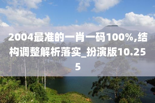 2004最准的一肖一码100%,结构调整解析落实_扮演版10.255