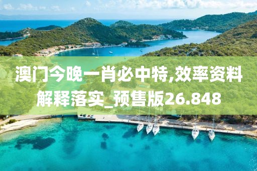 澳门今晚一肖必中特,效率资料解释落实_预售版26.848