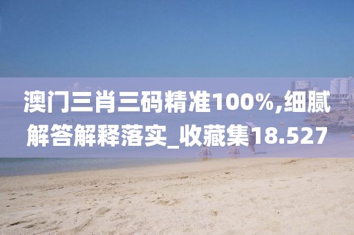 澳门三肖三码精准100%,细腻解答解释落实_收藏集18.527