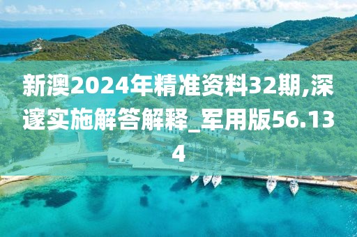 新澳2024年精准资料32期,深邃实施解答解释_军用版56.134